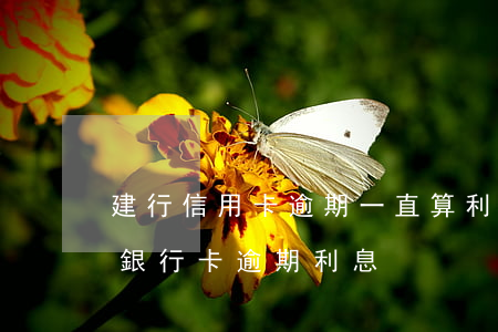 建行信用卡逾期一直算利息(建設(shè)銀行卡逾期利息)