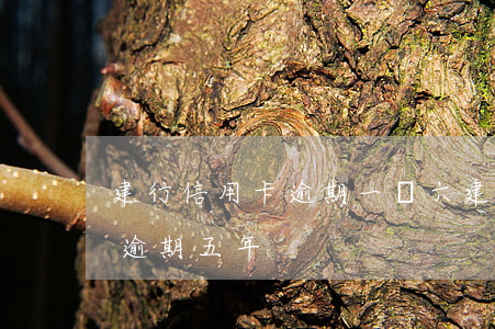 建行信用卡逾期一萬六(建行信用卡5000逾期五年)