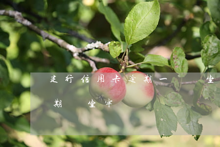 建行信用卡逾期一萬會坐牢嗎(信用卡1萬逾期會坐牢嗎)