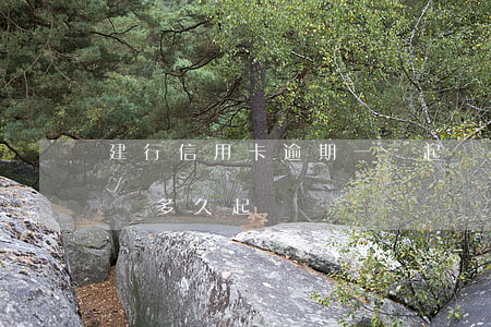 建行信用卡逾期一萬起訴(建行信用卡逾期一萬多久起訴)
