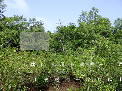 建行信用卡逾期三个月以上的后果-建行信用卡逾期三个月以上的后果是什么
