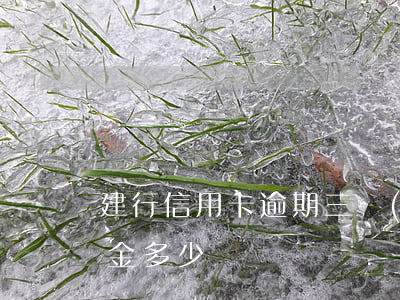 建行信用卡逾期三個(gè)月被起訴違約金多少
