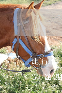 建行信用卡逾期三天了(欠建设银行信用卡三万逾期三个月会坐牢吗)