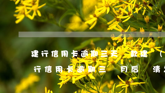 建行信用卡逾期三天還款(建設(shè)銀行信用卡逾期三個月后還清怎么解凍)