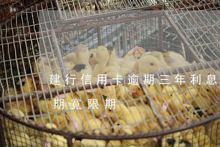 建行信用卡逾期三年利息減半(建行 信用卡 逾期寬限期)
