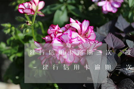 建行信用卡逾期三次會被凍結(jié)嗎-建行信用卡逾期三次會被凍結(jié)嗎怎么解凍