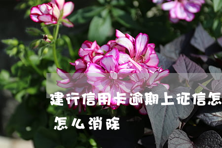 建行信用卡逾期上征信怎么消除 信用卡逾期怎么消除