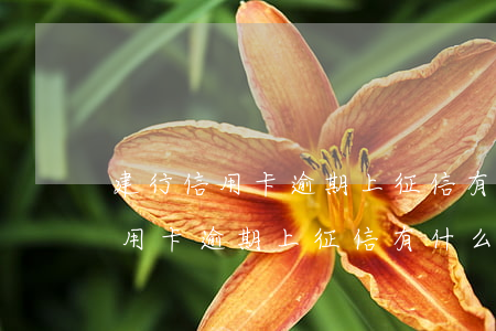 建行信用卡逾期上征信有什么影響-建行信用卡逾期上征信有什么影響嗎