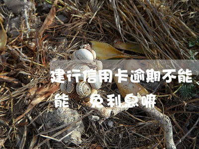 建行信用卡逾期不能減免(建行信用卡逾期不能減免利息嘛?)