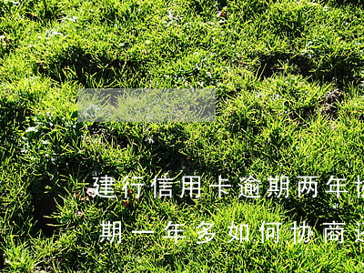 建行信用卡逾期两年协商还款流程(银行卡逾期一年多如何协商还款)