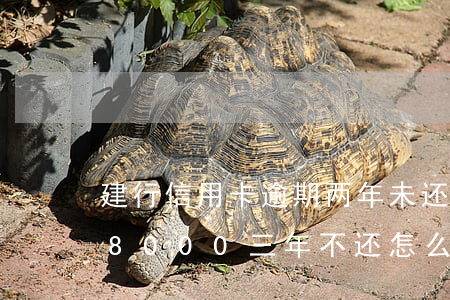 建行信用卡逾期两年未还(欠建设银行信用卡8000三年不还怎么办)