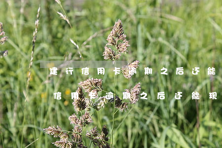 建行信用卡逾期之后还能现金转出吗-建行信用卡逾期之后还能现金转出吗安全吗