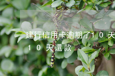 建行信用卡逾期了10天(建行信用卡逾期了10天還款)