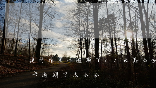建行信用卡逾期了11天怎么办(建行的信用卡逾期了怎么办)
