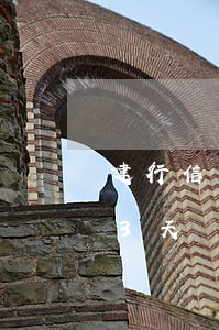 建行信用卡逾期了17天(建行信用卡逾期13天請(qǐng)問有什么影響嗎)