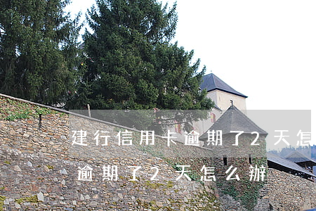 建行信用卡逾期了2天怎么辦呢（建行信用卡逾期了2天怎么辦）