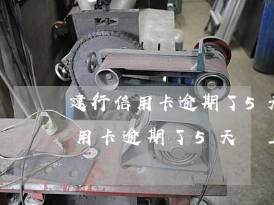 建行信用卡逾期了5天會上征信嗎-建行信用卡逾期了5天會上征信嗎怎么辦