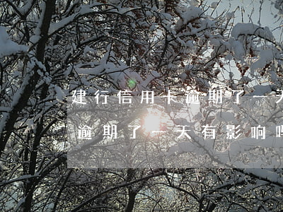 建行信用卡逾期了一天有影响吗 建行信用卡逾期了一天有影响吗贴吧