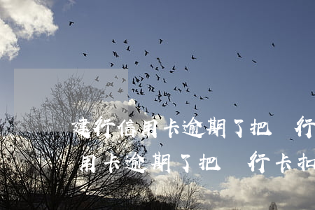 建行信用卡逾期了把銀行卡扣光了-建行信用卡逾期了把銀行卡扣光了怎么辦