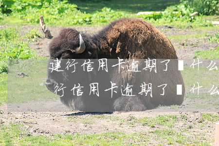 建行信用卡逾期了為什么會從公積金扣-建行信用卡逾期了為什么會從公積金扣款