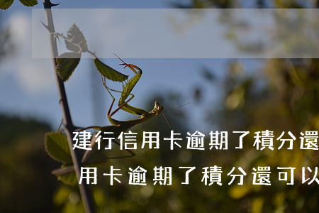 建行信用卡逾期了積分還可以用么-建行信用卡逾期了積分還可以用么嗎