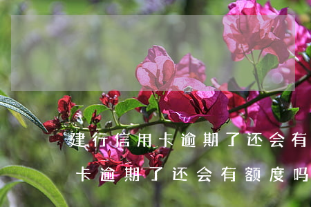 建行信用卡逾期了还会有额度吗-建行信用卡逾期了还会有额度吗怎么办