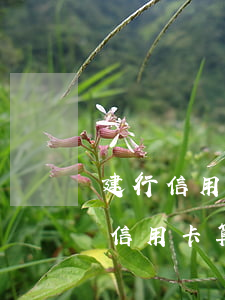 建行信用卡逾期二月嚴重嗎(建行推遲一天還信用卡算逾期嗎?)