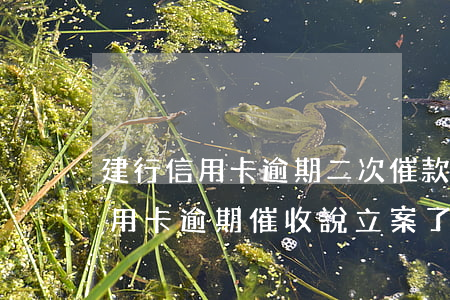 建行信用卡逾期二次催款(建設(shè)信用卡逾期催收說立案了)