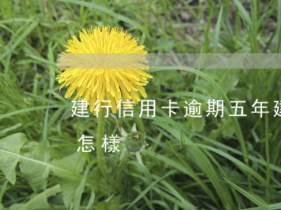 建行信用卡逾期五年 建行信用卡逾期五年會怎樣