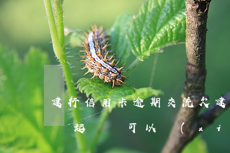 建行信用卡逾期交流 欠建行信用卡逾期律師說起訴還可以協(xié)商