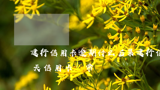 建行信用卡逾期什么后果(建行信用卡逾期幾天信用卡異常)