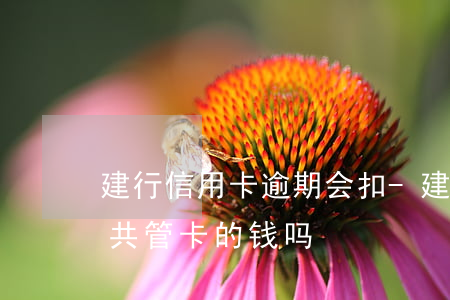 建行信用卡逾期会扣-建行信用卡逾期会扣共管卡的钱吗?