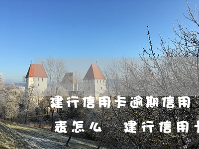 建行信用卡逾期信用調(diào)整申請表怎么寫（建行信用卡逾期信用調(diào)整申請表）