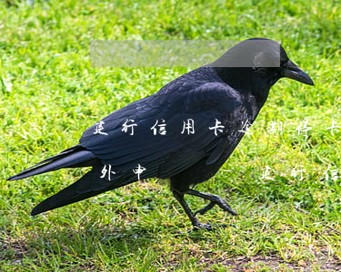 建行信用卡逾期停卡凍結(jié)后能另外申請嗎-建行信用卡逾期停卡凍結(jié)后能另外申請嗎