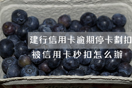 建行信用卡逾期停卡劃扣工資卡-建行工資被信用卡秒扣怎么辦