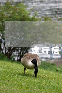 建行信用卡逾期停工資(停用建行信用卡)