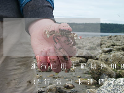 建行信用卡逾期停用还需要注销吗-以前有建行信用卡注销了现在还能申请回来