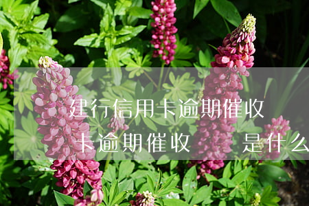 建行信用卡逾期催收號碼是什么-建行信用卡逾期催收號碼是什么意思