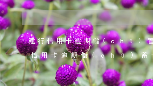建行信用卡逾期儲(chǔ)蓄卡扣款(建行信用卡逾期儲(chǔ)蓄卡扣款時(shí)間)