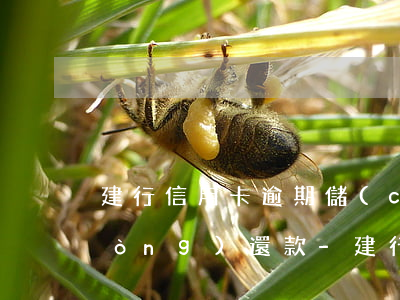 建行信用卡逾期儲(chǔ)蓄卡自動(dòng)還款-建行信用卡逾期儲(chǔ)蓄卡自動(dòng)還款嗎