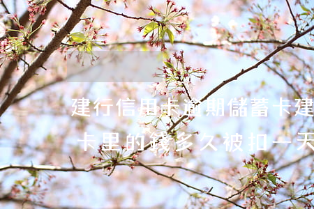 建行信用卡逾期儲蓄卡 建行信用卡逾期儲蓄卡里的錢多久被扣一天扣幾次