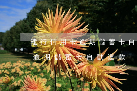 建行信用卡逾期儲蓄卡自動還款（建行信用卡逾期儲蓄卡自動還款）