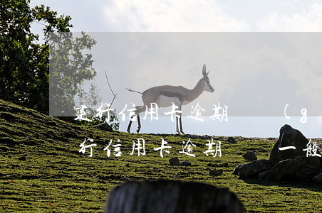 建行信用卡逾期兩個(gè)月上征信嗎(建行信用卡逾期記錄一般多少會(huì)影響征信)