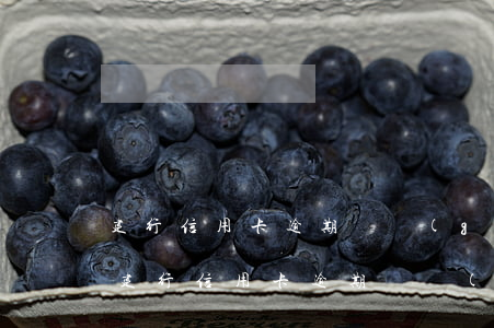 建行信用卡逾期兩個(gè)月如何解凍-建行信用卡逾期兩個(gè)月如何解凍賬戶
