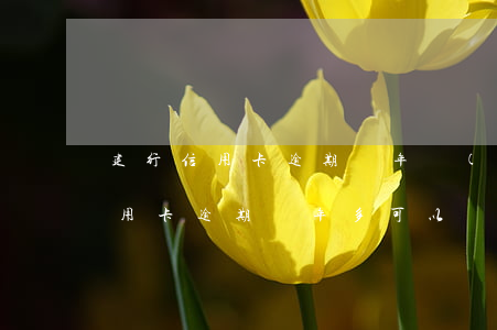 建行信用卡逾期兩年協(xié)商(建行信用卡逾期兩年多可以協(xié)商只還本金嗎)