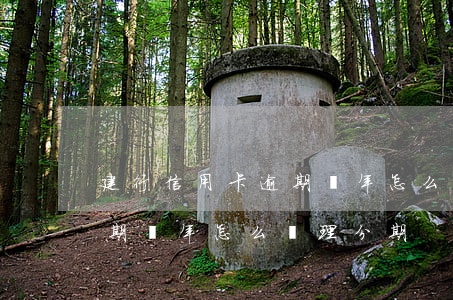 建行信用卡逾期兩年怎么辦-建行信用卡逾期兩年怎么辦理分期
