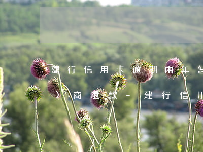 建行信用卡逾期兩年怎樣跟銀行協(xié)商還款-建行信用卡逾期兩年怎樣跟銀行協(xié)商還款呢