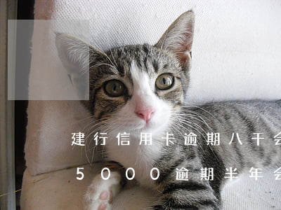 建行信用卡逾期八千会上门吗(建行信用卡15000逾期半年会不会起诉)