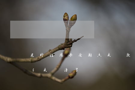 建行信用卡逾期六天還款(建行信用卡逾期15天還清了)