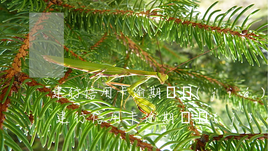 建行信用卡逾期凍結(jié)了怎么解封(建行信用卡逾期凍結(jié)了怎么解封手機(jī)號)